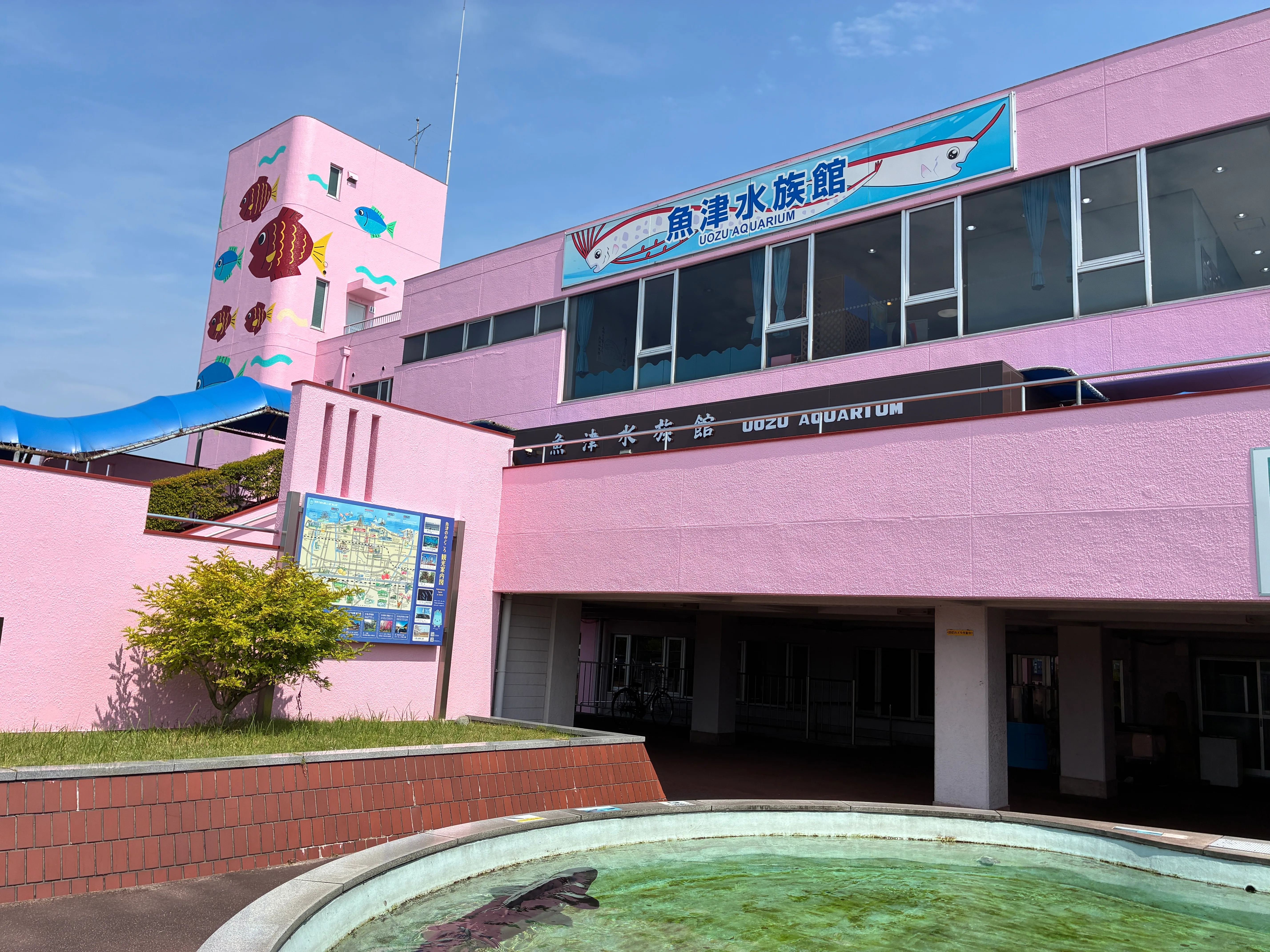 魚津水族館の写真